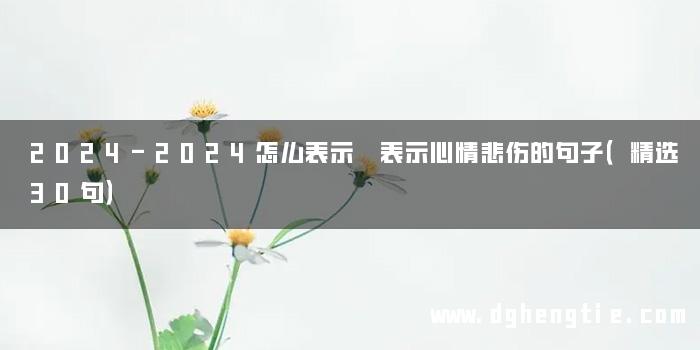 2024-2024怎么表示 表示心情悲伤的句子（精选30句）